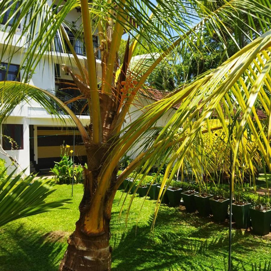 Edelweis Residence Hikkaduwa Exterior foto